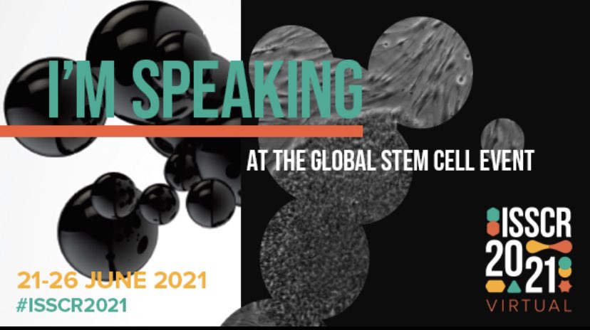 SFontenete's tweet photo. I am thrilled to be presenting live at #ISSCR2021 tomorrow , June 22th! Connect into Theme Session TSC : Stem cells and cancer to hear about our work on macrophage-cancer stem cell crosstalk in squamous cell carcinoma ! @ISSCR https://t.co/FUokTFgz7o