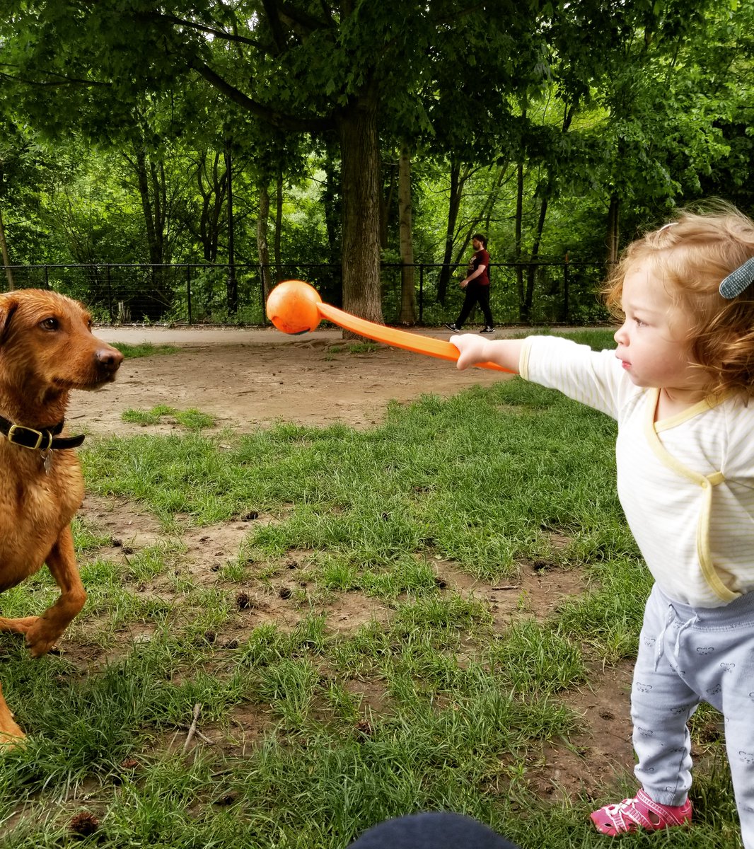 Algorithms are like dogs.
They serve their masters.
Who is training yours?