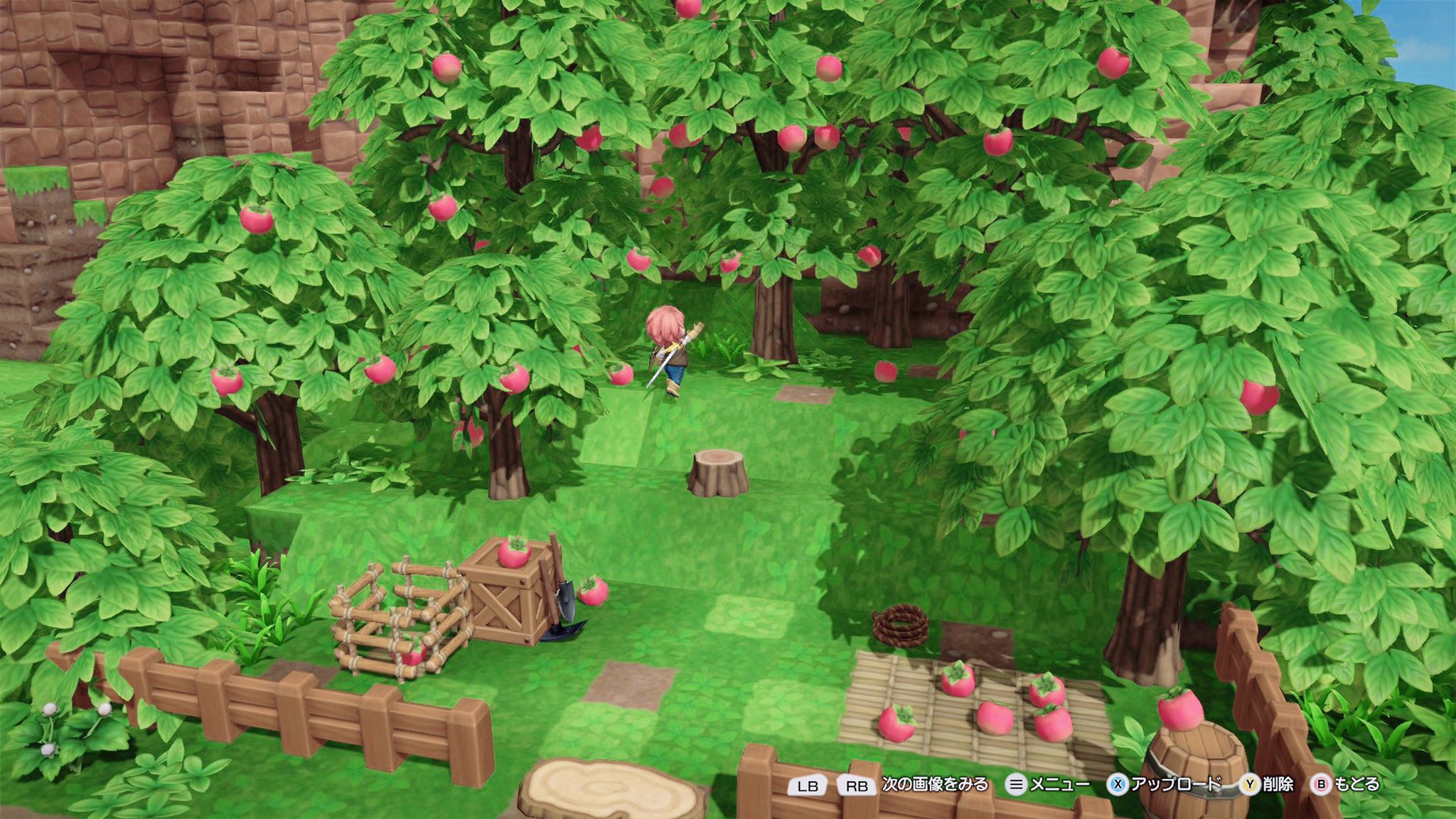 竹下ゆう Dqb2 ドラクエビルダーズ2 かいたく島 モモガキ農園 モモガキは今が収穫の最盛期です 近くのカフェでは モモガキタルト モモガキスムージー モモガキとヒトデの味噌汁 ルル考案 が味わえます T Co 4gqfbdagdf Twitter