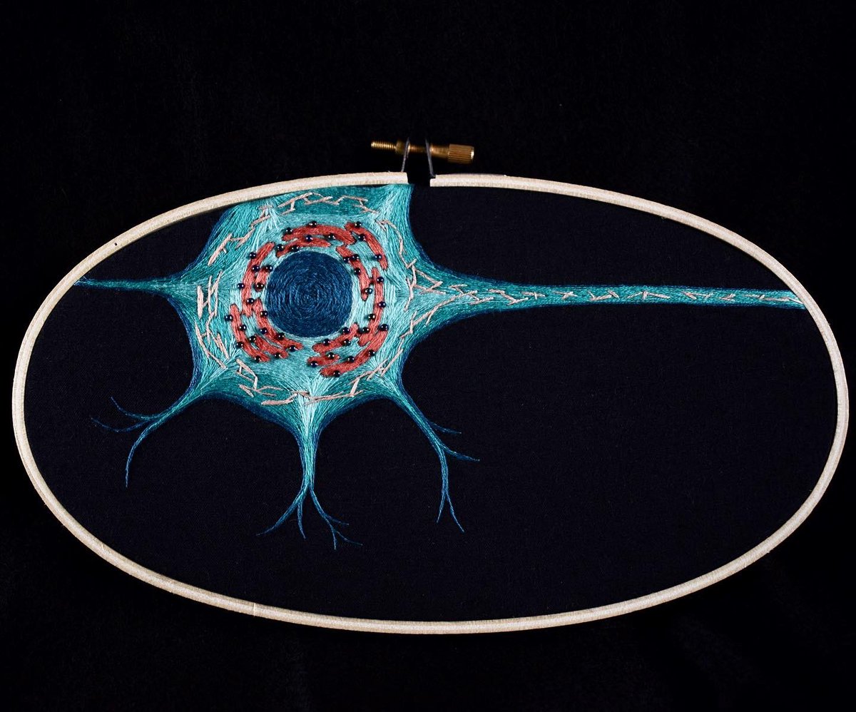 NeedlesNeurons's tweet photo. Recently finished motor neuron with rough & smooth ER #ScienceEmbroidery #SciArt https://t.co/Xy6ARITKOV