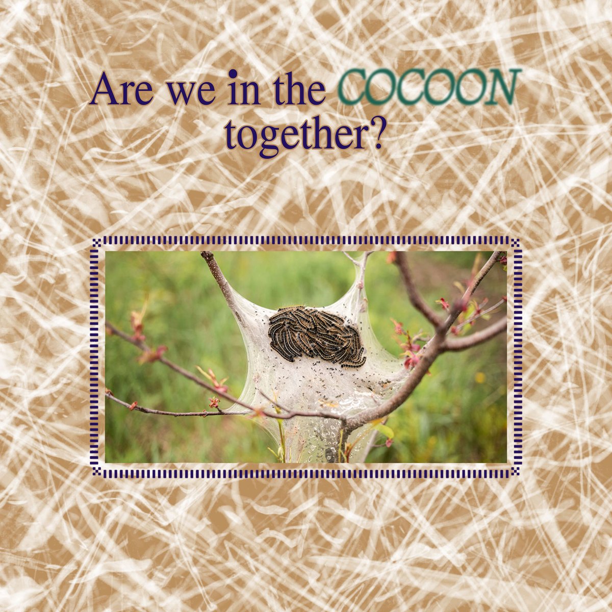 School For Poetic Computation Are We In The Cocoon Together Sfpc Cocoon