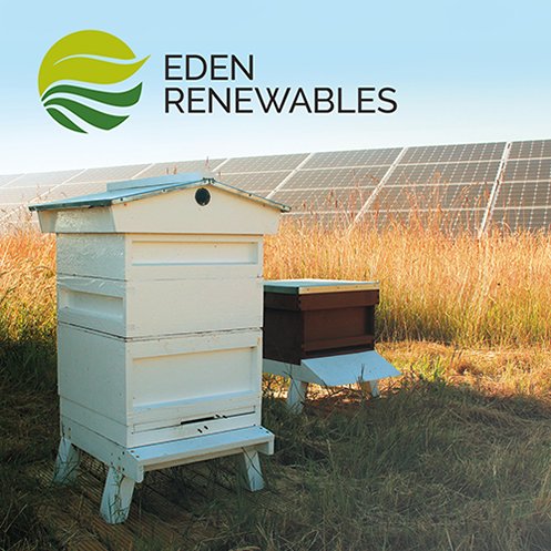 eden_renewables's tweet photo. #Bees and #birds are commonly found buzzing from flower to flower among the solar panels in this #pollinatorfriendly #solarfarm created by our team in Dorset, UK. #PollinatorWeek https://t.co/22HARBnFzZ
