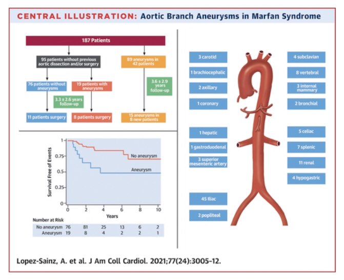 Jorge Faerron tweet media