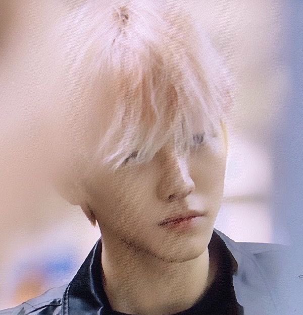 พจ♡ ⁺ tweet media
