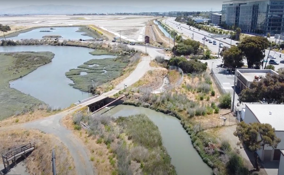 Bayfront Canal and Atherton Channel Flood Protection and Ecosystem Restoration Project at Bedwell Bayfront Park