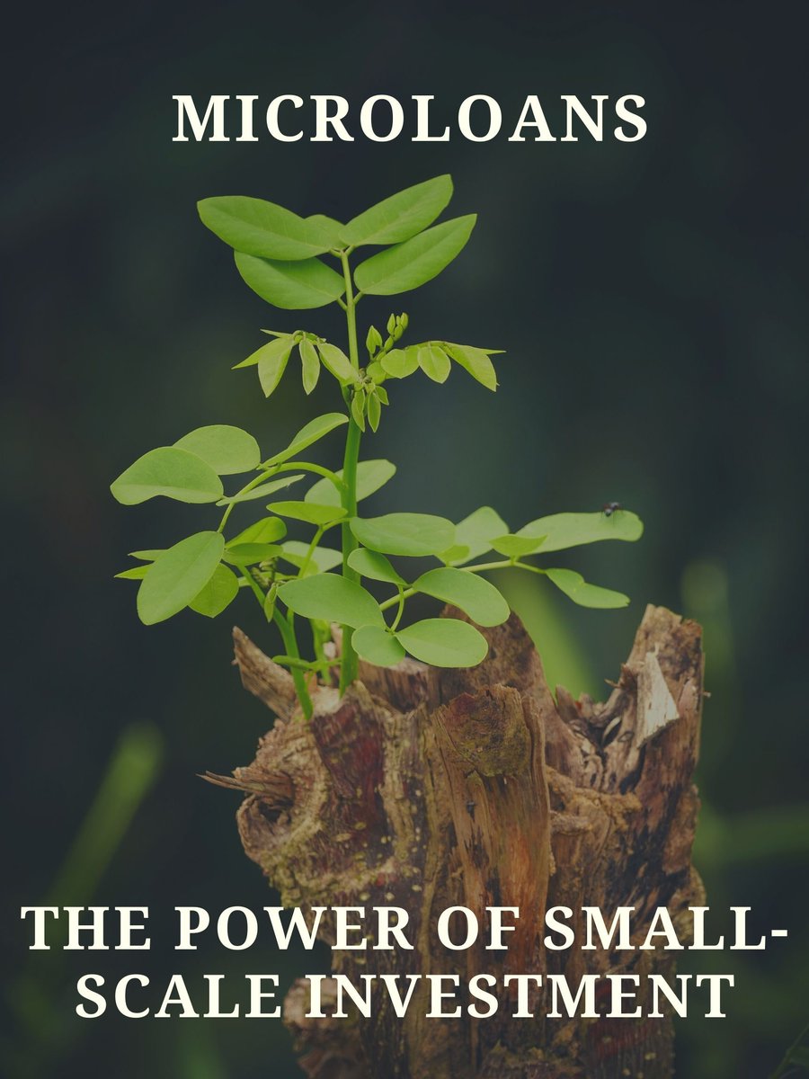 Microloans are a type of investment that help lower-income individuals because they usually don’t require collateral and have limited interest rates. Read all about it in our blog post about the history and impact of these loans!