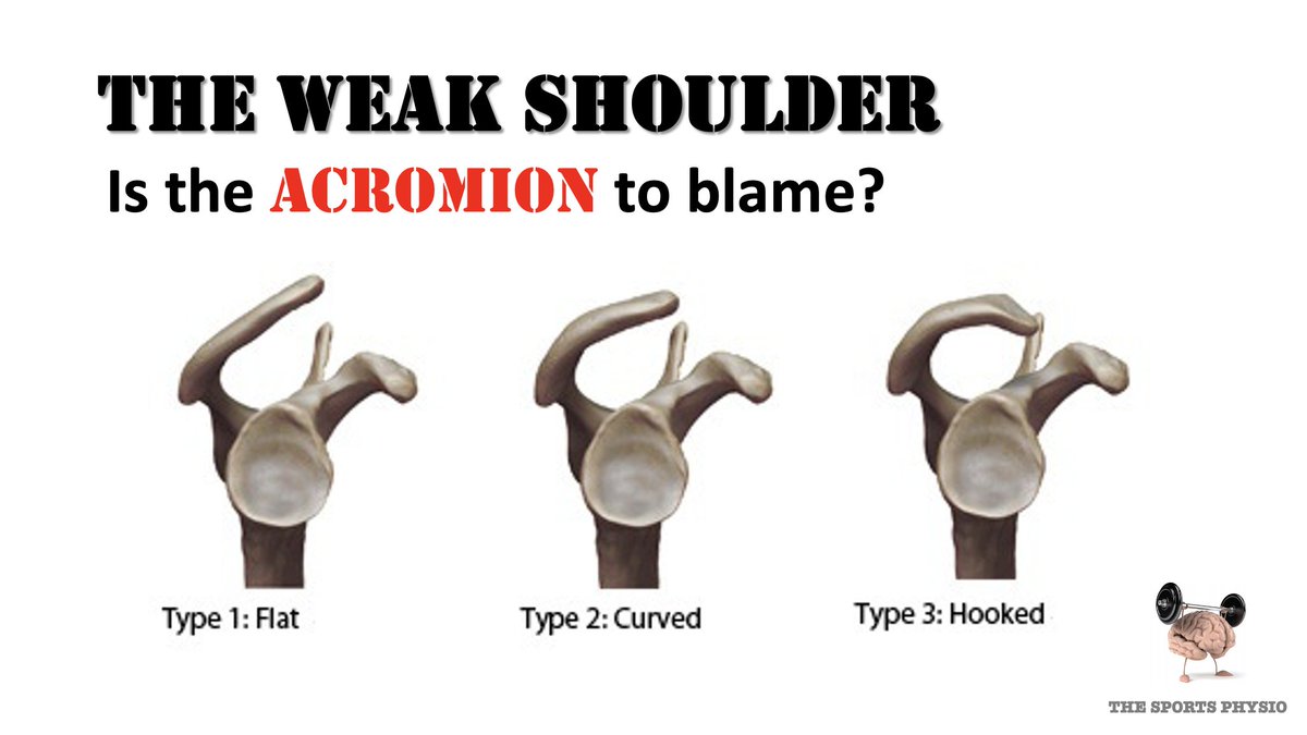 The Sp⚽️rts Physio tweet media