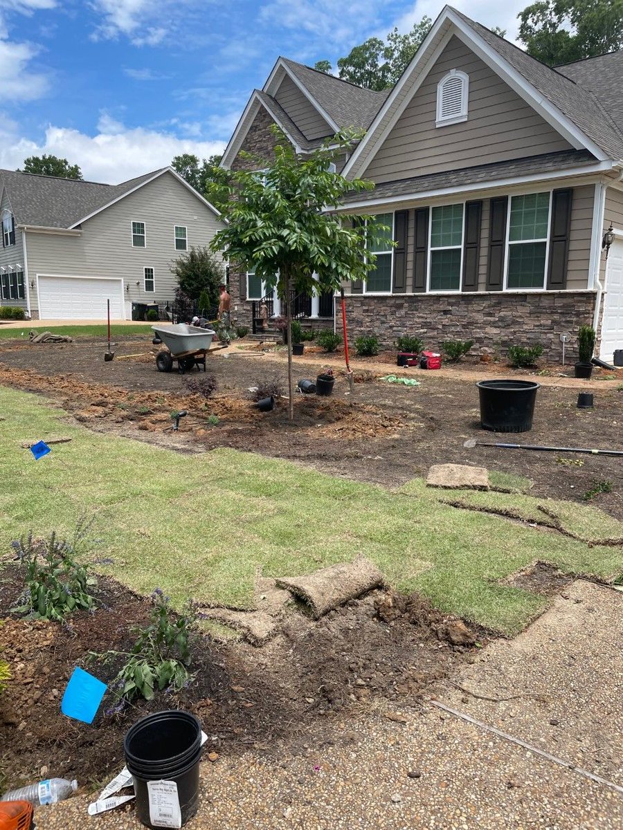 5Brotherslawn's tweet photo. Many new lawns are established by seed, but sod is a good alternative. Sod offers a solution to reduce erosion &amp; an update to the curb appeal. Our crew installed Zoysia sod for a customer along with new plants to enhance both front and back yards.  #5BrothersLawnCare #Landscaping https://t.co/yXIFUgMsVz