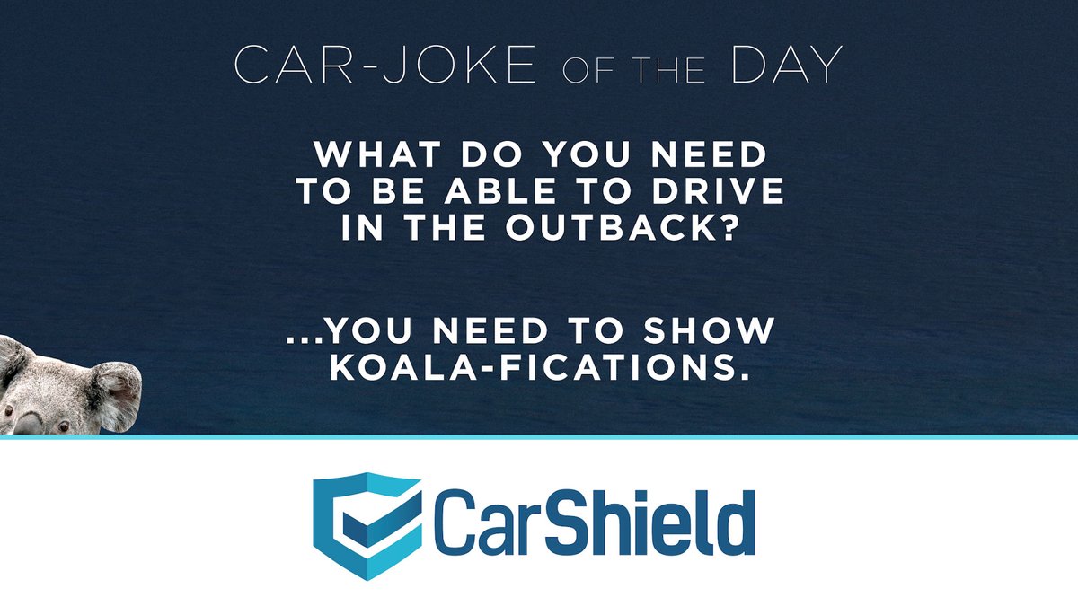 CarShield's tweet image. #CarShield: come for the jokes, stay for the savings 😂🚗🐨