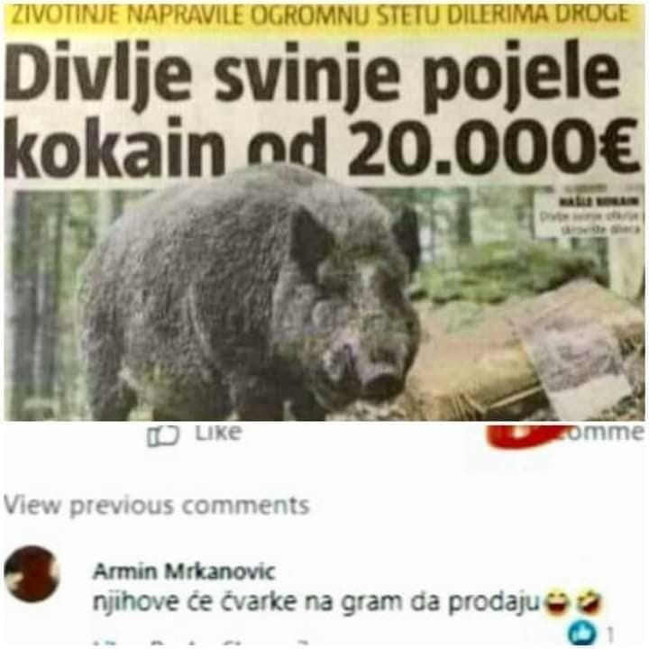 E4aAZU2XMAMV9zj