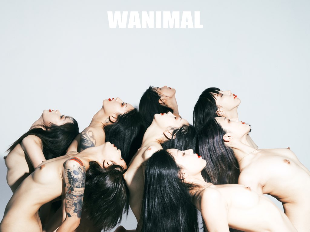 WANIMAL912's tweet photo. 抄��任航
理由是我喜歡

@qinweiyingjie 
@hagikomomo
@shijiu90590291 
@riri17869007
@HymOrange 
@baobaoyameow
@Ms_maever 
@shanping__ https://t.co/FDbg6P3TA8
