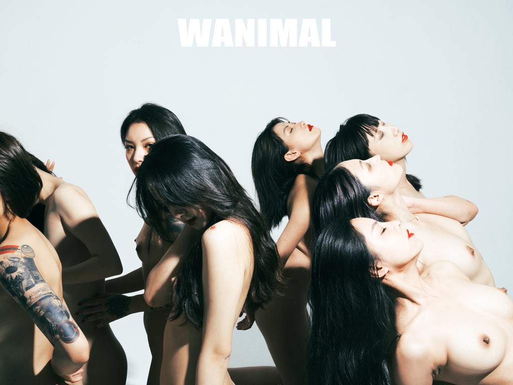 WANIMAL912's tweet photo. 抄��任航
理由是我喜歡

@qinweiyingjie 
@hagikomomo
@shijiu90590291 
@riri17869007
@HymOrange 
@baobaoyameow
@Ms_maever 
@shanping__ https://t.co/FDbg6P3TA8