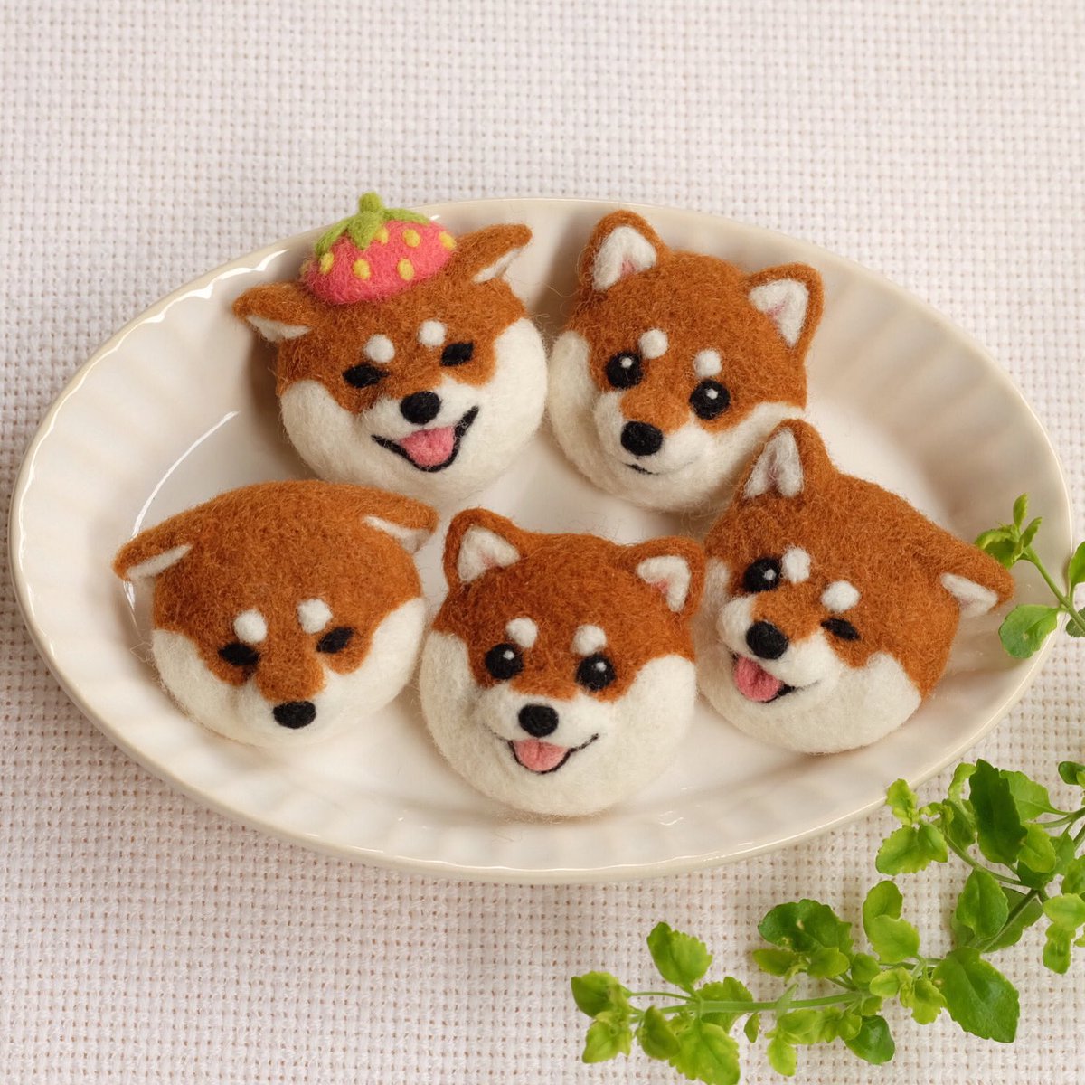 Twoucan 赤柴 の注目ツイート イラスト マンガ コスプレ モデル