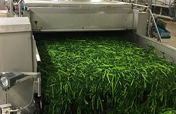 Nieuwe vacature online voor de functie van QA/QC Specialist in . Kijk direct op onze website voor meer informatie!