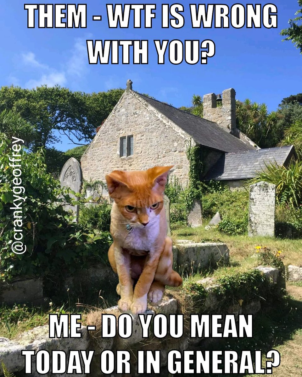 Make a list! Let's start with I'm hangry! MOL 😺
#CatsOfTwitter 
#whatswrongwithme #catmemes #catdaily #instacats #cats #cattitude #askaquestion #laughoutloud #whatsyourproblem #whatsup #funnycats #grumpycat #gingercats