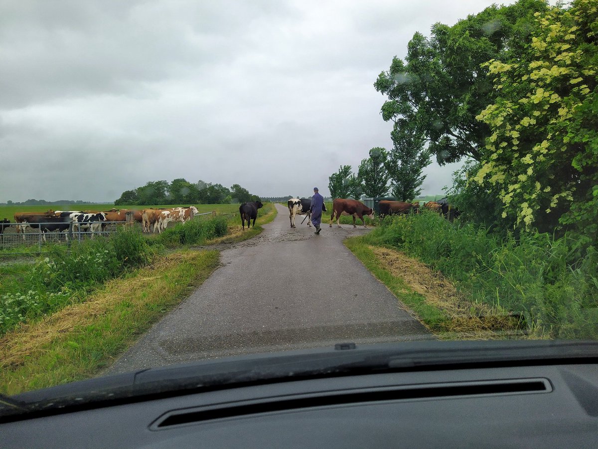 erikpostx's tweet photo. Kleine vertraging bij #Stitswerd. En de dames nemen hun tijd. https://t.co/rZLR1DLr9t