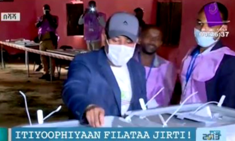 GetachewDejene4's tweet photo. It is only #Ethiopians' mandate to elect their leaders, it is not outsiders politicians that decide for Ethiopia. #EthiopianElection2021
#OneVoteOneTree https://t.co/R304UwXVcJ