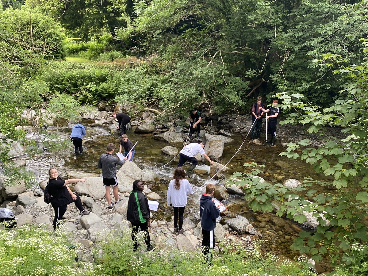 Tasha Williams 🌍 tweet media