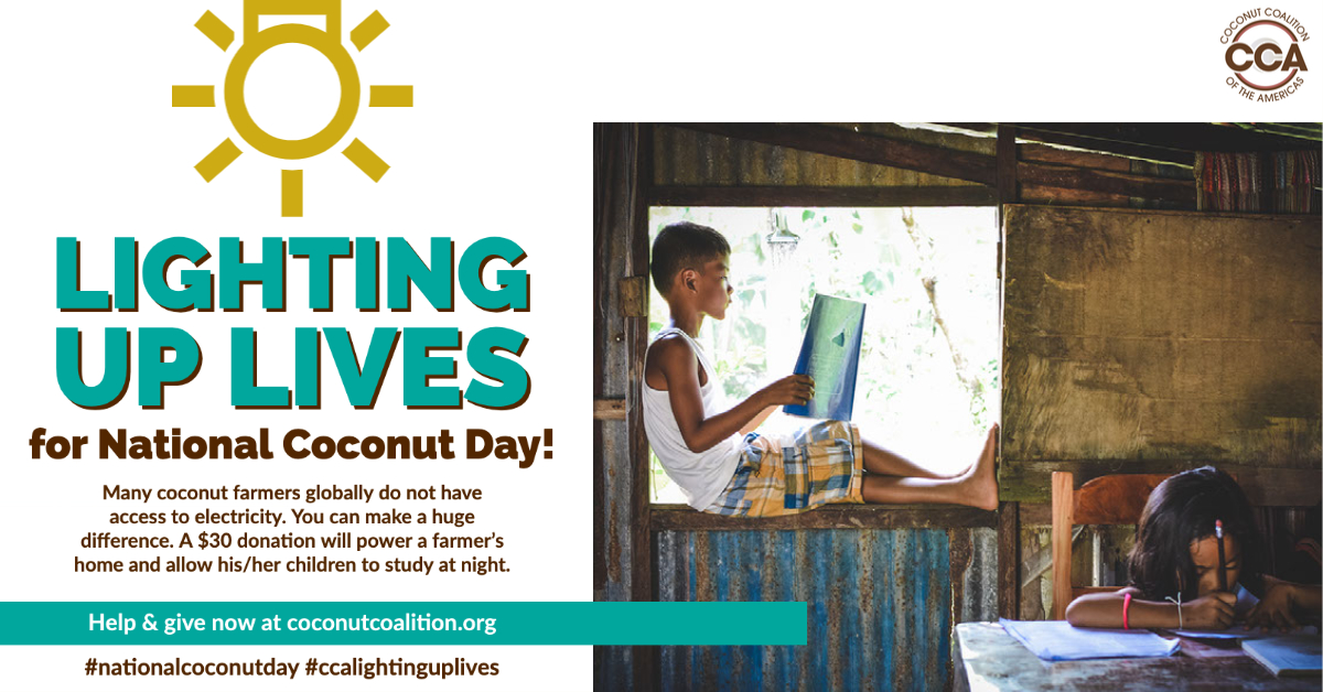 CoconutCCA's tweet photo. In honor of #nationalcoconutday 🥥  (Sat., 6/26), CCA is #LightingUpLives helping coconut farmers by installing solar lighting. Help and give now 👉  https://t.co/K7RCDONjCo
#nationalcoconutday #ccalightinguplives #lightinguplives #coconutfarmers #makeadifference #sustainability https://t.co/gm6BaPh0YD