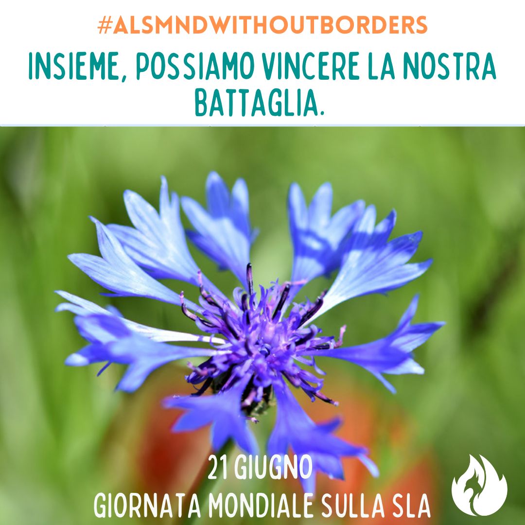 📌 Il fiordaliso, fiore bellissimo e raro è il simbolo della giornata mondiale della SLA. 

Continuiamo insieme a lottare per vincere la battaglia. 🧡

🗣 Condividiamo il più possibile perché tutti conoscano questa malattia. 

#PostFataResurgo #EndALS #ALSMNDwithoutborders