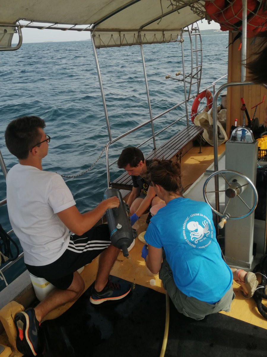 CIMrovinj's tweet image. It&apos;s #OceanSamplingDay2021 today! A research campaign where marine biologists worldwide sample surface waters and DNA on the same day! Our scientist sampled surface waters and DNA in #Rovinj on our long term station to assess marine microbiome diversity.