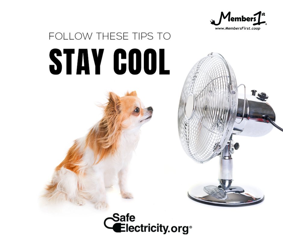 Sunday marked the first day of summer! This smart dog knows how to save energy when it’s hot outside, do you? Learn more: safeelectricity.org/prepare-home-b… #CoolingEfficiency #SummerEfficiency #SaveEnergy #SaveMoney #TakeControlAndSave