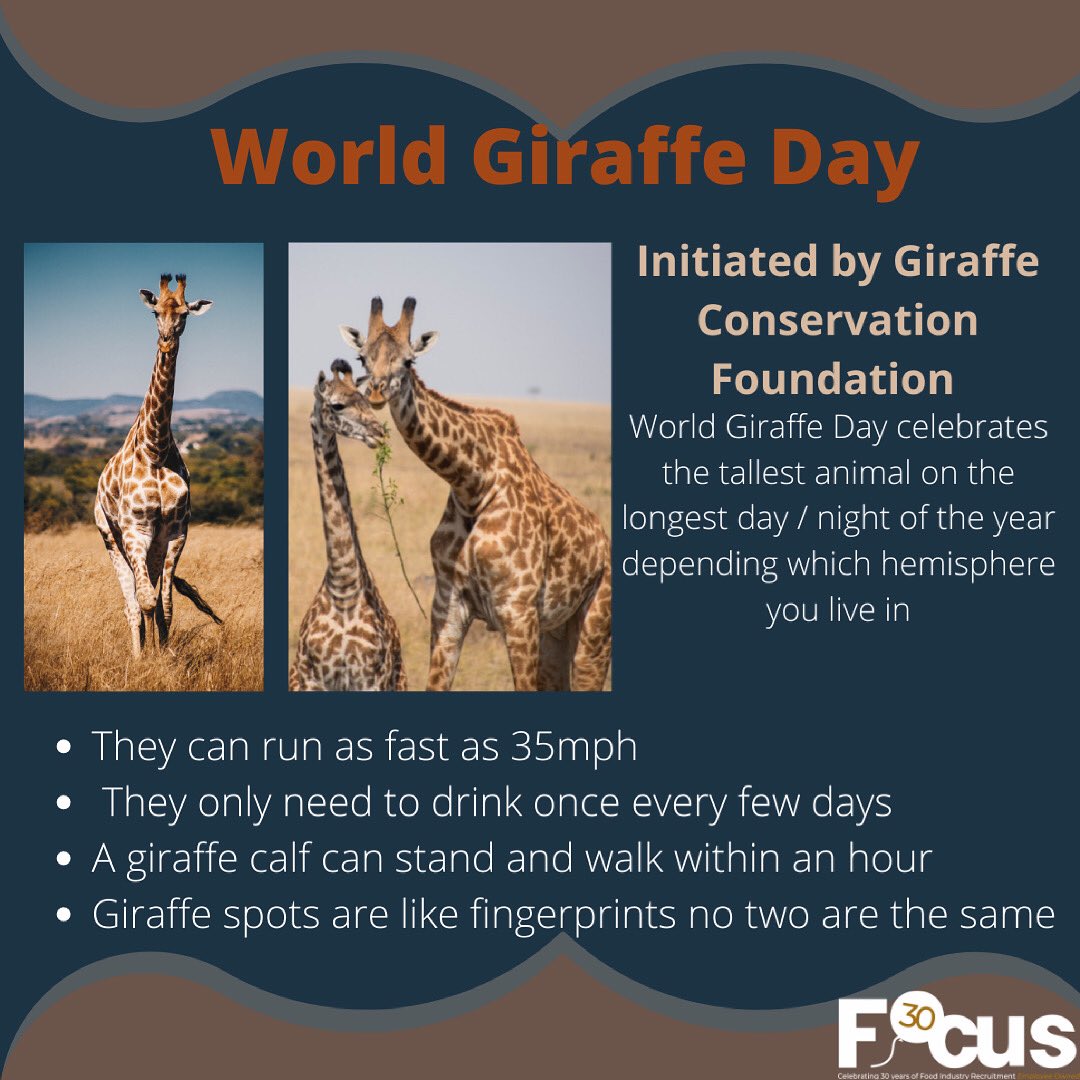 Focus Management в Twitter: „World Giraffe Day 🦒 on the longest day / night of the year its time to celebrate the tallest animal. Here are some facts you may not know. Focus Management в Twitter: „World Giraffe Day 🦒 on the longest day / night of the year its time to celebrate the tallest animal. Here are some facts you may not know.