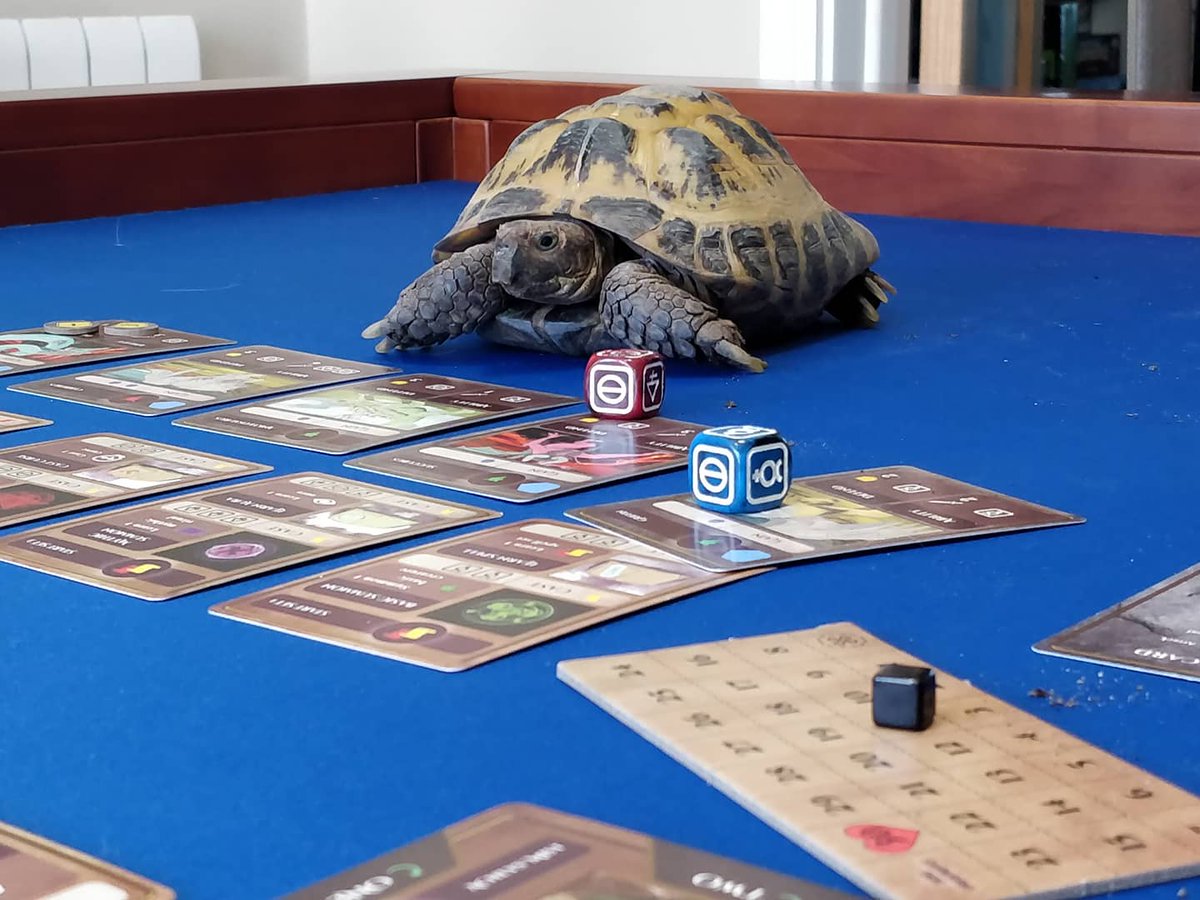 DeckingG's tweet photo. Full disclosure: Our games are playtested on animals. Results: they're not very good at them
.
.
#DiceSummoners #boardgames #tabletop #davidversusgoliath #dogs #toroise #epicshowdown https://t.co/4zWrVchv1J
