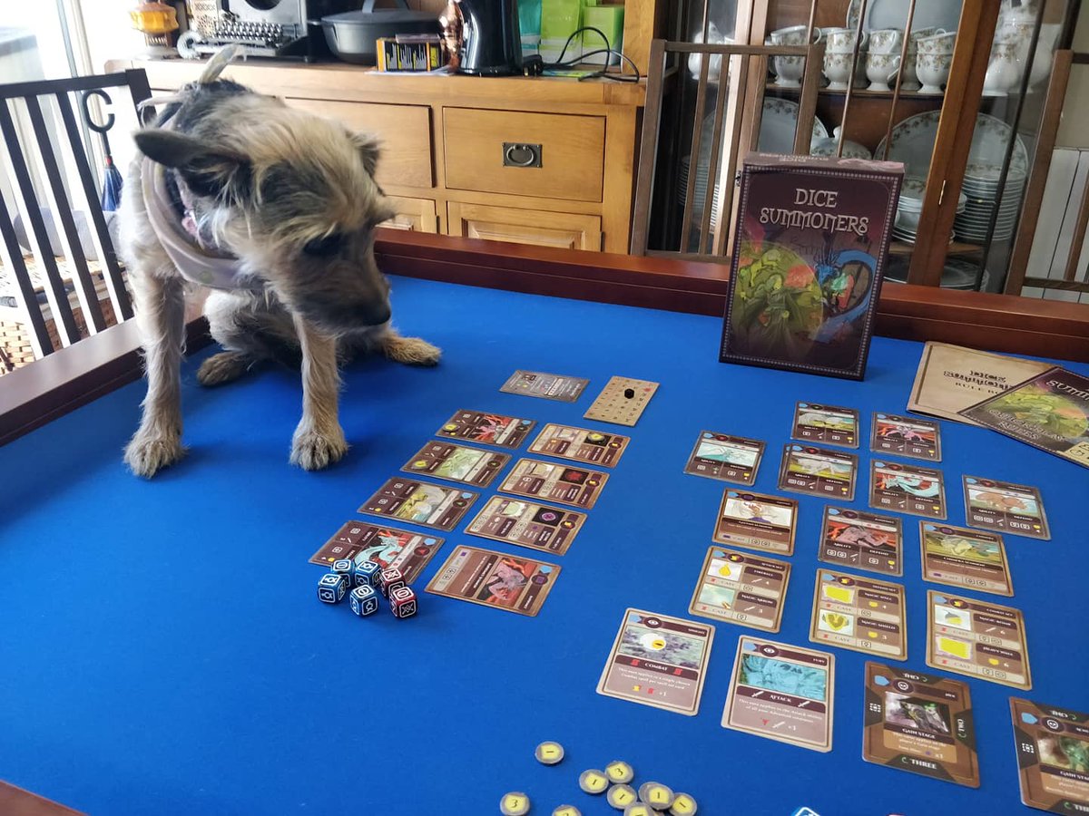 DeckingG's tweet photo. Full disclosure: Our games are playtested on animals. Results: they're not very good at them
.
.
#DiceSummoners #boardgames #tabletop #davidversusgoliath #dogs #toroise #epicshowdown https://t.co/4zWrVchv1J