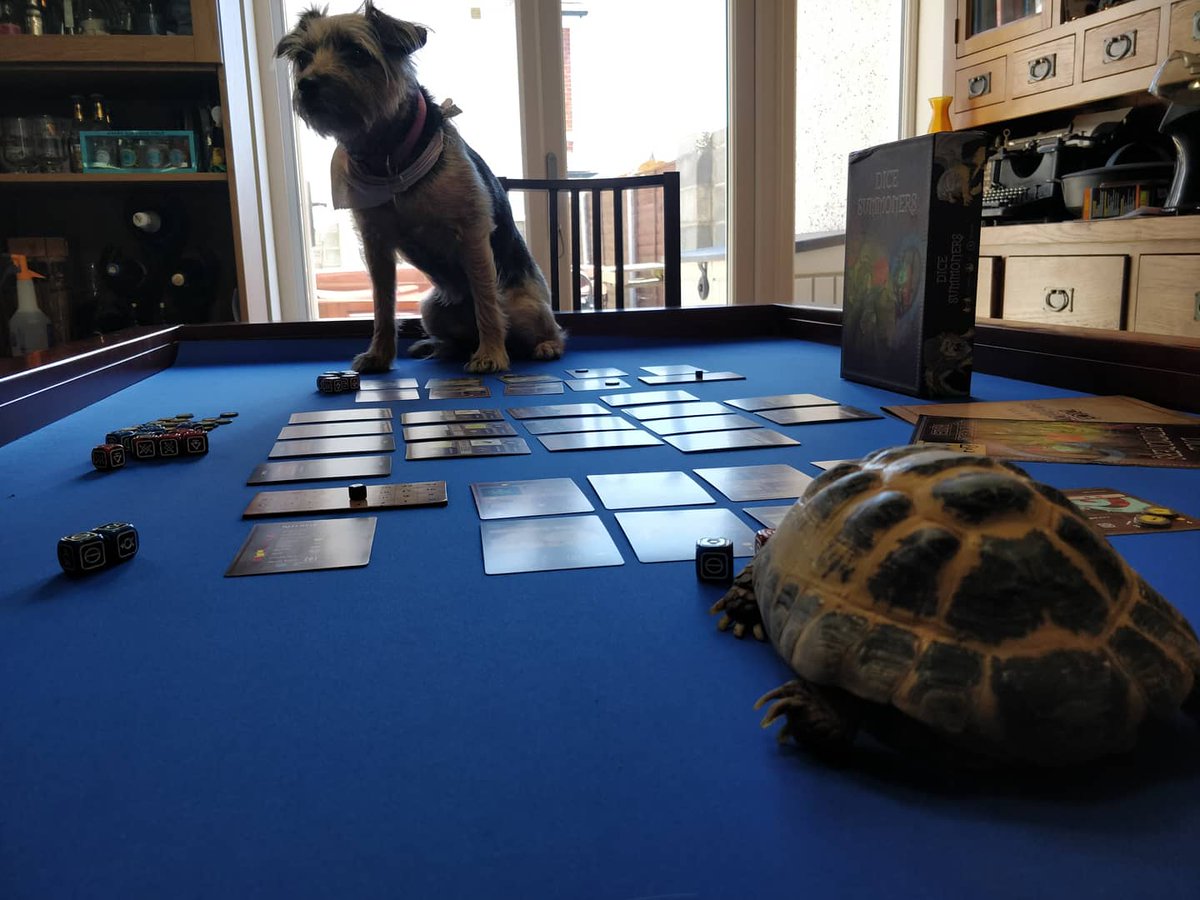 DeckingG's tweet photo. Full disclosure: Our games are playtested on animals. Results: they're not very good at them
.
.
#DiceSummoners #boardgames #tabletop #davidversusgoliath #dogs #toroise #epicshowdown https://t.co/4zWrVchv1J