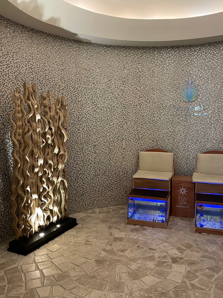 TravelProChris's tweet photo. The spa at Secrets Akumal is amazing!  Fish pedicure, anyone? #secretsakumal #mexico https://t.co/ncheZfWQos