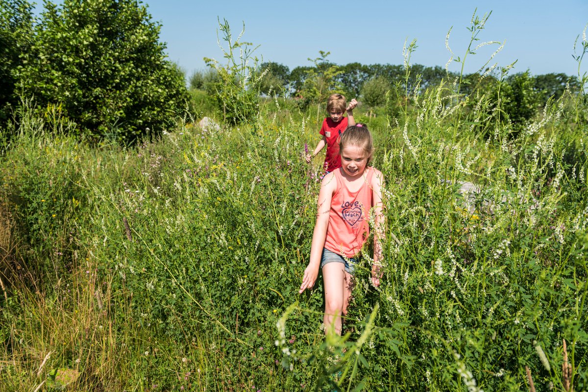 Zondag 27 juni: OERRR struintocht op Tiengemeten voor stoere kinderen van 9 t/m 12 jaar. Samen met de boswachter, zonder ouders/begeleiders. Wat zullen ze na afloop van dit avontuur veel te vertellen hebben! 💚

nm.nl/tiengemeten/ag…

#excursie #kinderen #natuur #educatief