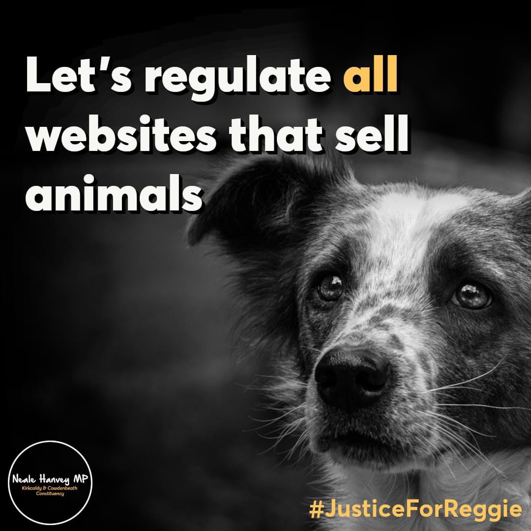 JusticeforRegg1's tweet photo. #puppies #ilovemyboxer #animals #itsadogslife #puppy #doglovers #puppylove #adventuredogsofficial #dogsadventure #pets #bulldogstuffbesties #campingwithdogs #dogsarelove #dogsarelife #chihuahuadog #pitbullpuppy #dogmom #dogs #lovelydog #hikingdogs #dogsandpals #doglover #bulldog https://t.co/63NhuvWHIX