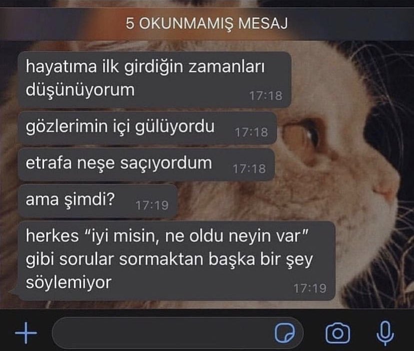 BoztasMahir's tweet photo. Tam olarak böyle https://t.co/HQXdqLvq4G