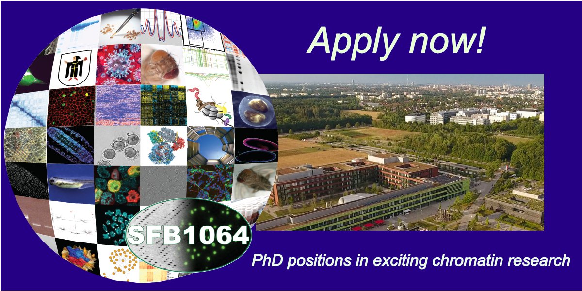 Calling chromatin enthusiasts and cell/molecular biology buffs interested in PhD research positions in the Munich consortium <a href="/crc_1064/">CRC 1064 Chromatin Dynamics</a> – apply before June 30! sfb1064.med.uni-muenchen.de/now-hiring/ind…