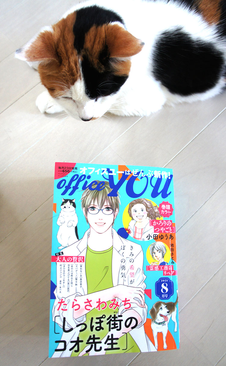 たらさわみち 23日発売のoffice You8月号 コオ先生が表紙に登場です しっぽ街のコオ先生 今回は地域猫の避妊去勢手術の活動に急遽参加したコオ先生とホリくんの話 緊張するシーンが続く中 最後にホッとする一コマを描きたしました たらさわみち 23日発売のoffice You8月号 コオ先生が表紙に登場です しっぽ街のコオ先生 今回は地域猫の避妊去勢手術の活動に急遽参加したコオ先生とホリくんの話 緊張するシーンが続く中 最後にホッとする一コマを描きたしました