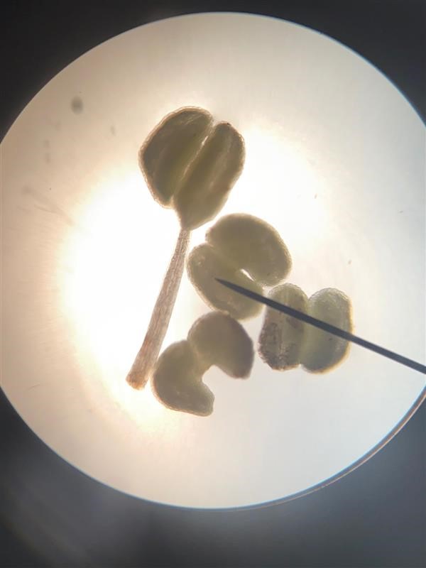 BethanyScience tweet media