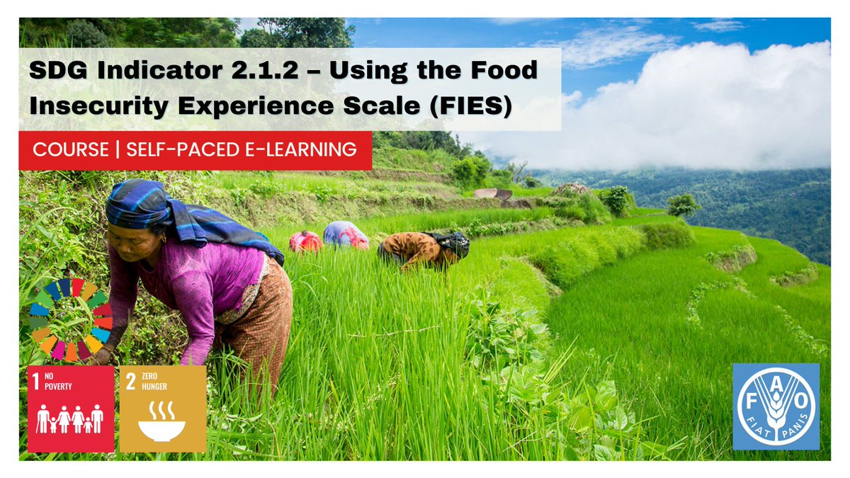 UNSDGLearn's tweet photo. Do you want to learn how to measure #FoodInsecurity? This course by @FAO explains how to, using the FIES in the context of reporting on the SDG #Indicator 2.1.2, and how to use it to guide policies!

Check it out now: https://t.co/QANUfQSWX7

#Policy #Data #statisitcs #Agenda2030 https://t.co/QQfS6RA7Yx