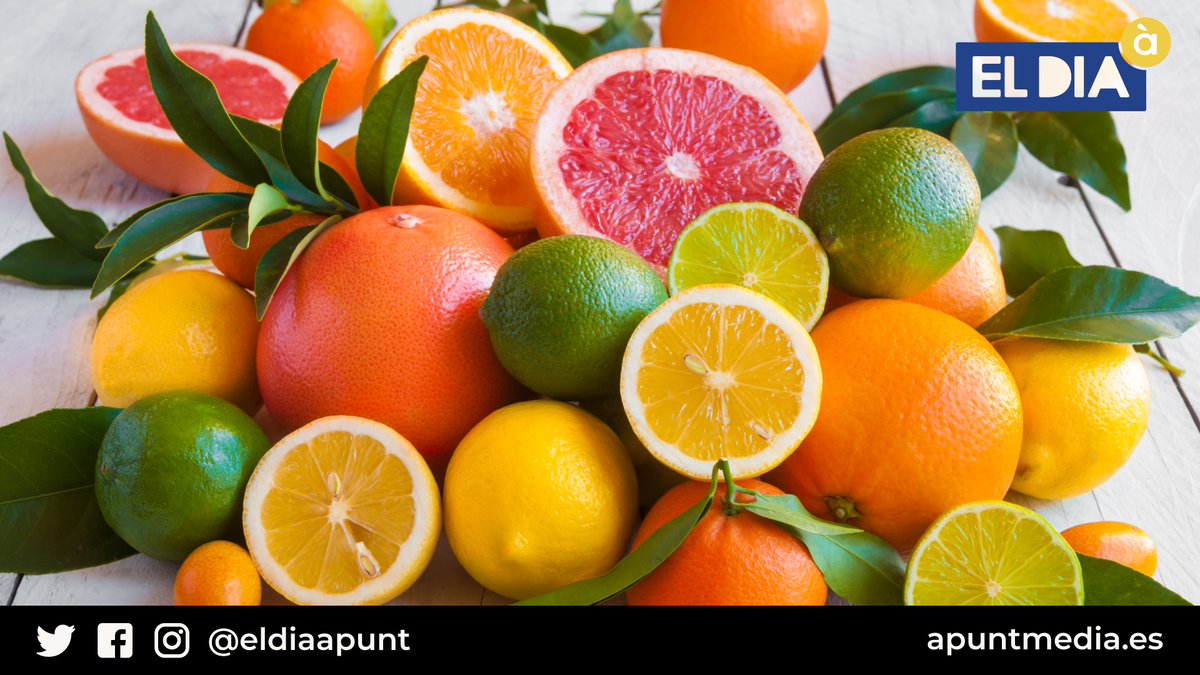 🤔Iuzu, mà de Buda, poncem, finger lime... Són cítrics! Hi ha tot un món més enllà de les llimes i les taronges. 

🍊🧙‍♂️😉El druida valencià dels cítrics li ho ha contat a <a href="/IMMAJUAN/">Imma Juan</a> I <a href="/codinucova/">CODiNuCoVa</a> ens ha aconsellat com gaudir al màxim de la fruita d'estiu. ▶bit.ly/fruita-estiu