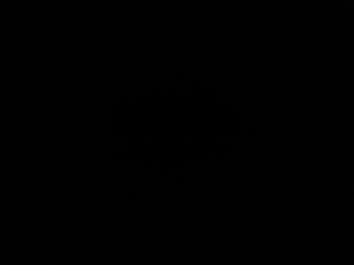 Poppy_Flint's tweet photo. Working with @bailesandlight in the dark!
Big THANKS to @E17ArtTrail for loaning lots of blackout fabric which makes this immersive installation possible.
Want to know whats hidden within the dark? 
Find out &amp; book at https://t.co/IJJhpMMUWj https://t.co/75HgzQOGAx