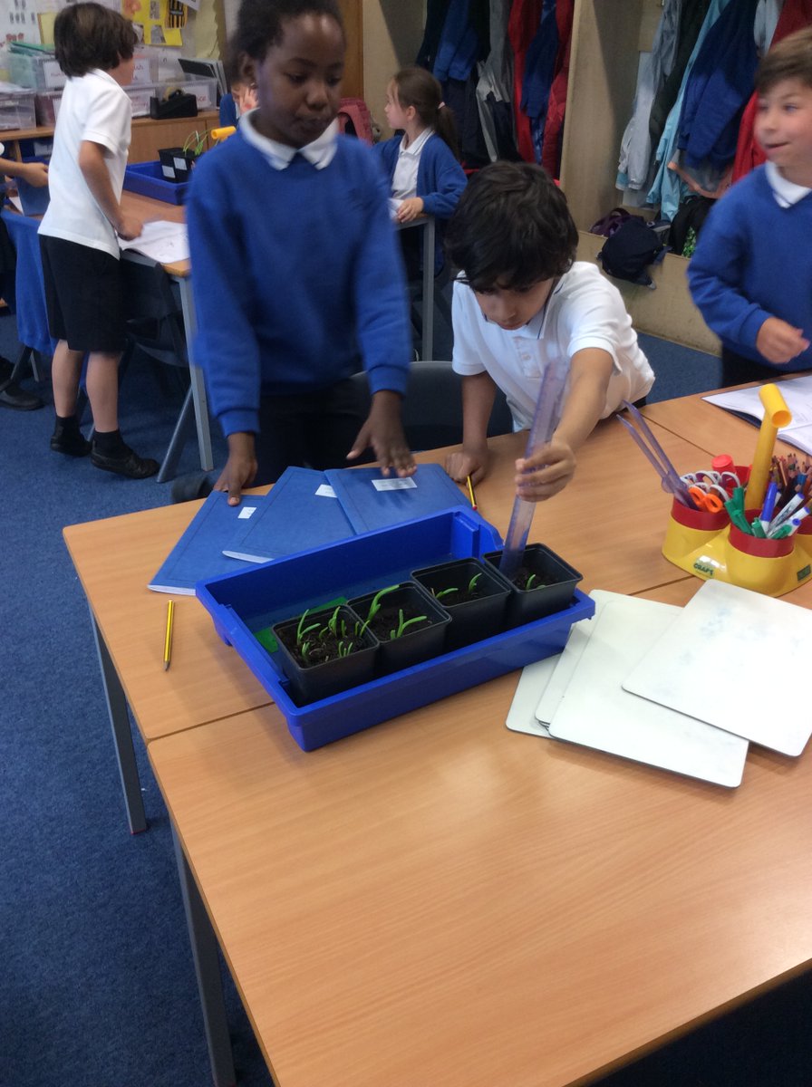 BSNJSV's tweet image. #JSVY3 checking the growth of their onions! How much space do they need?