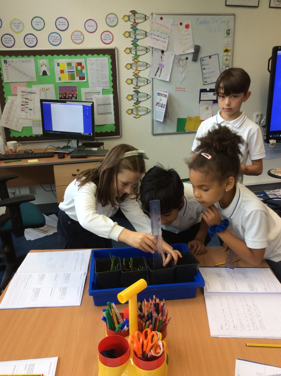 BSNJSV's tweet image. #JSVY3 checking the growth of their onions! How much space do they need?