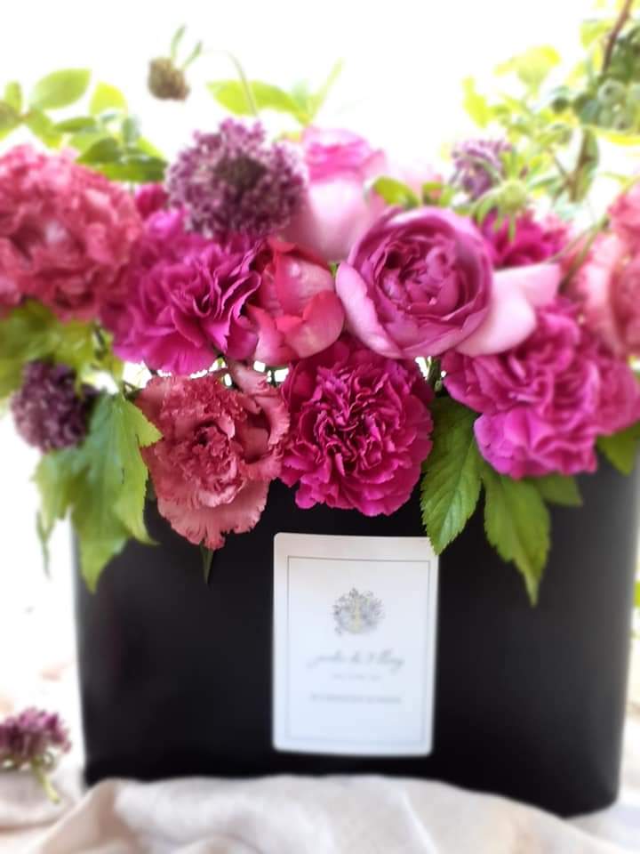 アイロニー認定校 Twitter Search Twitter アイロニー認定校 Twitter Search Twitter