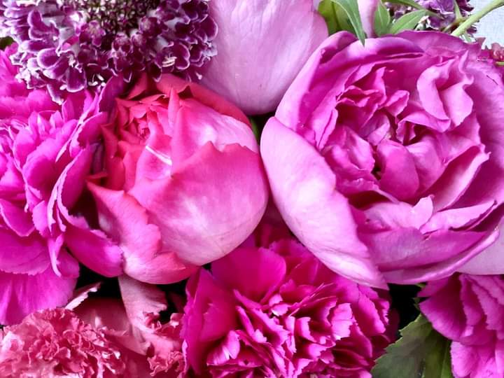 アイロニー認定校 Twitter Search Twitter アイロニー認定校 Twitter Search Twitter