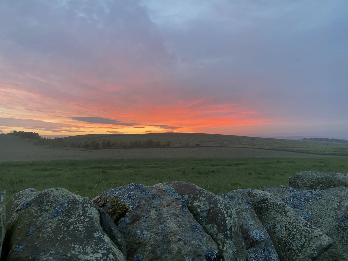 Sunrise at #hadrianswall from this weekends #adventure fundraising for <a href="/MytonHospices/">The Myton Hospices</a> 

We walked the length of the wall from Newcastle to Bowness in just over 37 hours - incredible adventure! 

Donations can still be made here:

uk.virginmoneygiving.com/Team/2mates1wa…

<a href="/TeamMyton/">#TeamMyton</a>