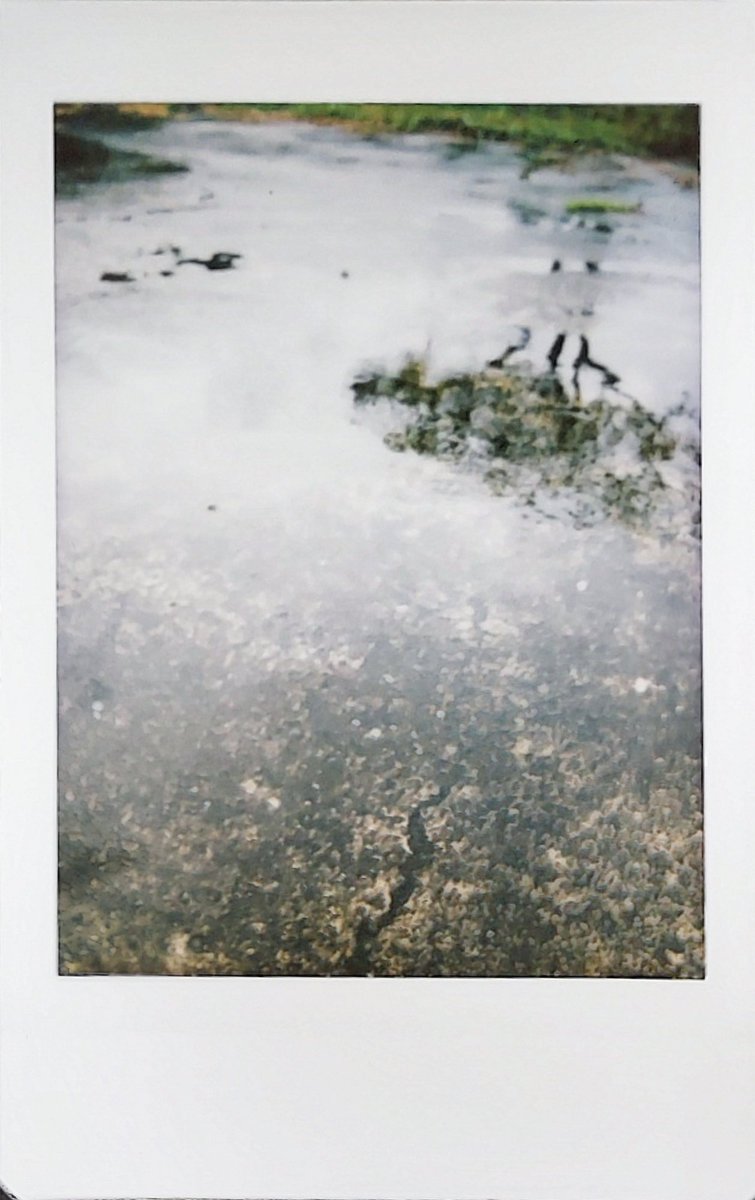 wings80033915's tweet photo. 📷拍立得
倒影
fujifilm mini40

#食物攝影 #streetphotography #fujifilminstax #instantfilmmag #instantfilm #instax #instaxmini #fujifilm #街拍 #街頭攝影 #街拍攝影 #街頭 #拍立得 #instaxmini40 #攝影 #攝影寫真 #寫真 #taipeicameraclub https://t.co/v3i3xKMqUN