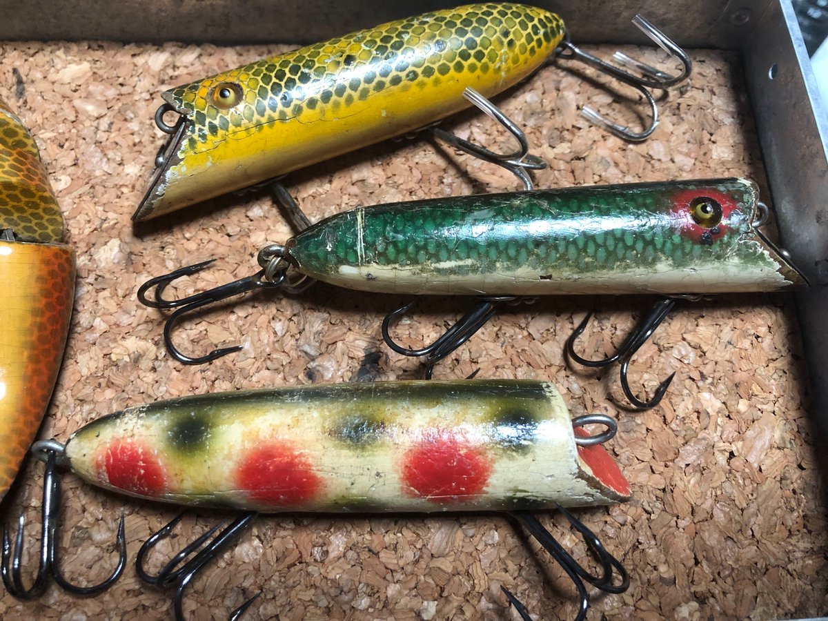 ミノー モンタナ Minnowmontana Twitter