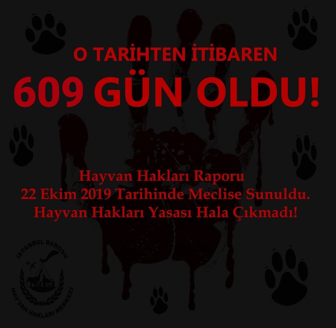 #KaçGünOldu ❓

TBMM #HayvanHakları Araştırma Komisyonunun Raporu, yayınlanalı 609 GÜN oldu!📌 

Ve biz hala Hayvan Hakları Yasasının çıkarılmasını bekliyoruz!📌

(Yasa çıkana kadar "Kaç gün oldu?" paylaşımlarımız, her gün devam edecektir. Paylaşım desteğinizi rica ediyoruz. 🙏🏾)