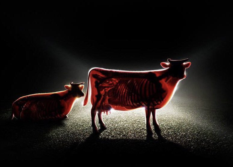 This is how Mercedes-Benz advertised their strong headlight.