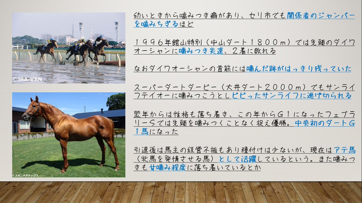競馬インフォメーションクラブ サポカに登場した シンコウウインディ 若駒時代は噛みつき癖が酷くベテランの岡部幸雄騎手 ルドルフ会長の元主戦 が匙を投げるほど しかしそんな性格ゆえか今では優秀なアテ馬になっています 何事も捉え方次第ですね